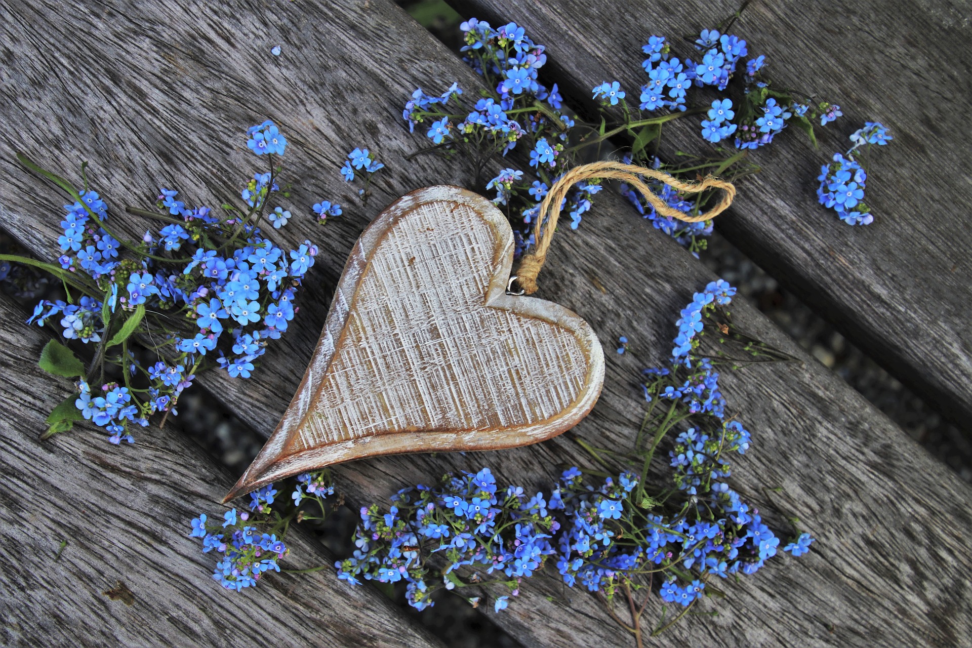 Coeur en bois entourré de felurs bleues.