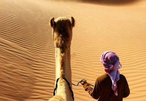 Chameau et son maître marchant dans le désert.