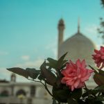 Fleurs roses avec en fond, vu sur une mosquée.